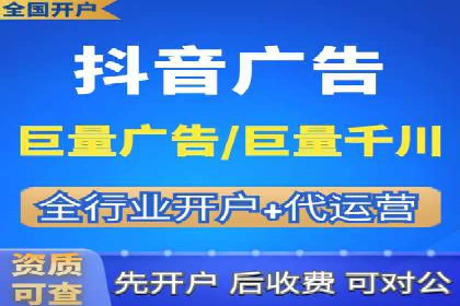 谷歌竞价广告的投放策略与成功案例分析